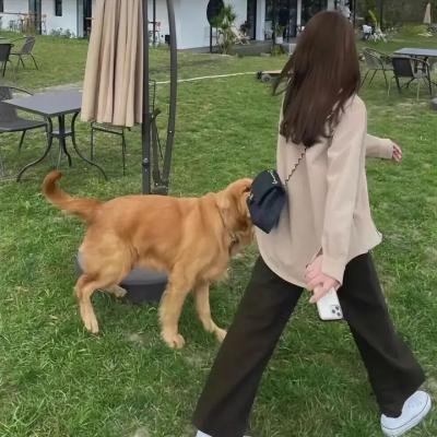 吸血鬼生活